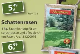 Sonderpreis Baumarkt Schattenrasen Angebot