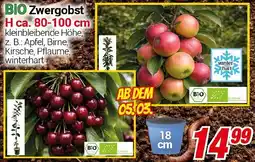 CENTERSHOP BIO Zwergobst Angebot