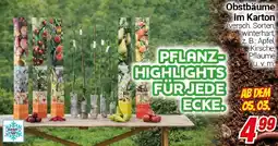 CENTERSHOP Obstbäume im Karton Angebot