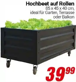 CENTERSHOP Hochbeet auf Rollen Angebot