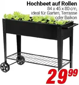 CENTERSHOP Hochbeet auf Rollen Angebot