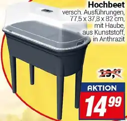 CENTERSHOP Hochbeet Angebot