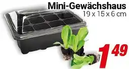 CENTERSHOP Mini-Gewächshaus Angebot