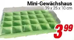CENTERSHOP Mini-Gewächshaus Angebot