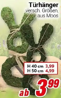 CENTERSHOP Türhänger Angebot