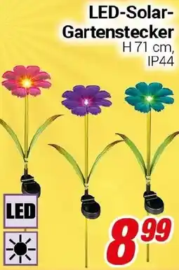 CENTERSHOP LED-Solar Gartenstecker Angebot
