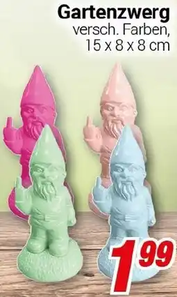 CENTERSHOP Gartenzwerg Angebot