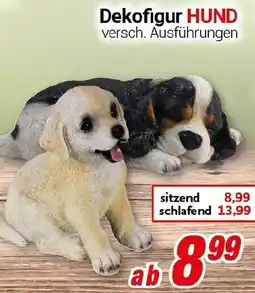 CENTERSHOP Dekofigur HUND Angebot