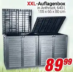 CENTERSHOP XXL-Auflagenbox Angebot