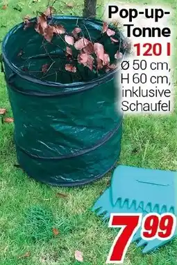 CENTERSHOP Pop-up Tonne Angebot