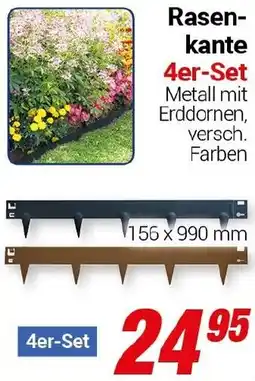 CENTERSHOP Rasenkante Angebot