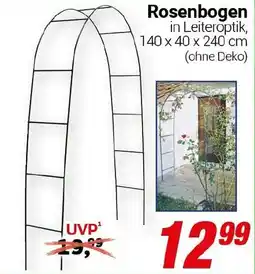 CENTERSHOP Rosenbogen Angebot