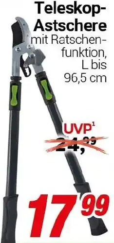 CENTERSHOP Teleskop Astschere Angebot