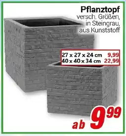 CENTERSHOP Pflanztopf Angebot