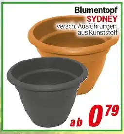 CENTERSHOP Blumentopf SYDNEY Angebot