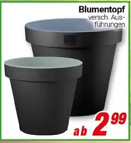 CENTERSHOP Blumentopf Angebot