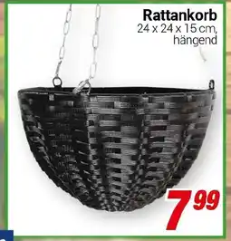 CENTERSHOP Rattankorb Angebot