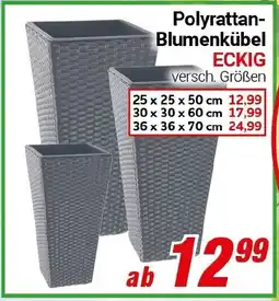 CENTERSHOP Polyrattan Blumenkübel ECKIG Angebot