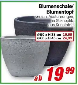 CENTERSHOP Blumenschale/ Blumentopf Angebot