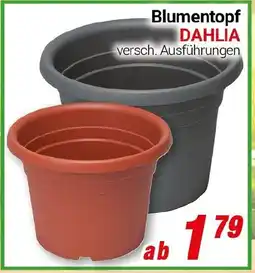 CENTERSHOP Blumentopf DAHLIA Angebot