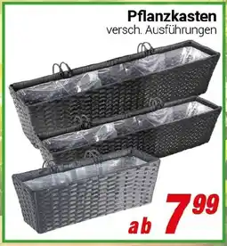 CENTERSHOP Pflanzkasten Angebot