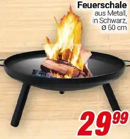 CENTERSHOP Feuerschale Angebot