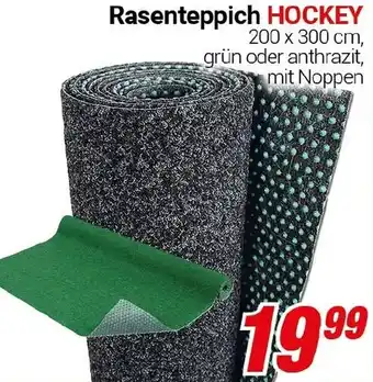 CENTERSHOP Rasenteppich HOCKEY Angebot