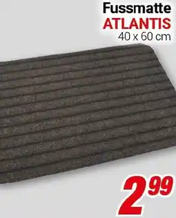 CENTERSHOP Fussmatte ATLANTIS Angebot