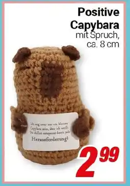 CENTERSHOP Positive Capybara Angebot