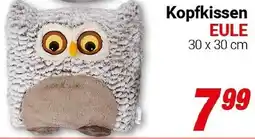CENTERSHOP Kopfkissen EULE Angebot