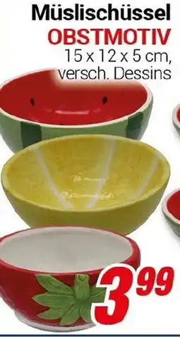 CENTERSHOP Müslischüssel OBSTMOTIV Angebot