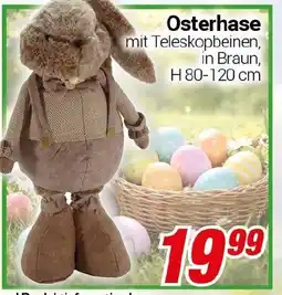 CENTERSHOP Osterhase Angebot