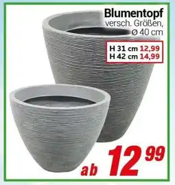 CENTERSHOP Blumentopf Angebot
