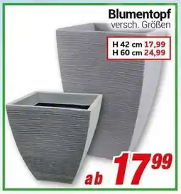 CENTERSHOP Blumentopf Angebot