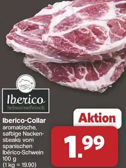 Famila Nord West Iberico-Collar Angebot