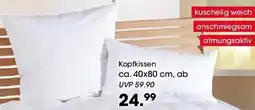 Möbel Martin Kopfkissen Angebot