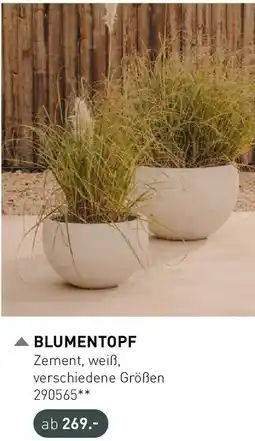 Möbel Martin Blumentopf Angebot