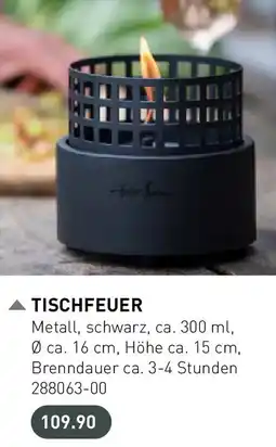 Möbel Martin Tischfeuer Angebot