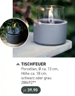 Möbel Martin Tischfeuer Angebot