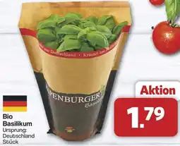 Famila Nord West Bio Basilikum Angebot