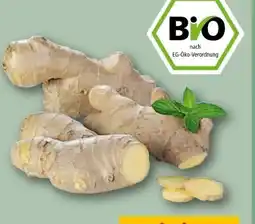 REWE Bio Ingwer Angebot
