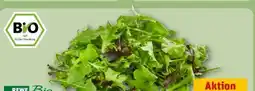 REWE Rewe Bio Crispy Salatmix Angebot