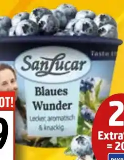 EDEKA Bandelt SanLucar Kulturheidelbeeren Angebot