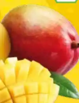 EDEKA Bandelt Bio-Mango Angebot