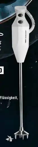 Handelshof Esge Zauberstab Stabmixer G350 Gastro Max Angebot