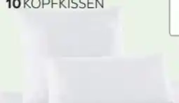 XXXLutz Bio Vio Kopfkissen Tendré Angebot