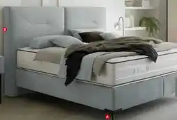 XXXLutz Dieter Knoll Boxspringbett Angebot