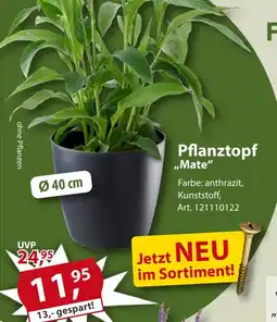 Sonderpreis Baumarkt Pflanztopf ,,Mate" Angebot