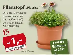 Sonderpreis Baumarkt Pflanztopf,,Plastica" Angebot