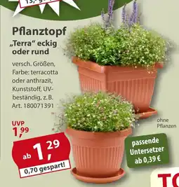 Sonderpreis Baumarkt Pflanztopf ,,Terra" eckig oder rund Angebot